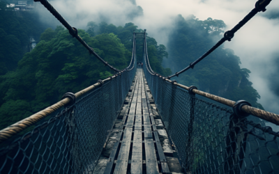 Bridging the Chasm: Key Strategies for Transitioning Technology from Niche to Mainstream