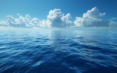 Unlocking Blue Oceans with the ERRC Grid: A Strategic Blueprint